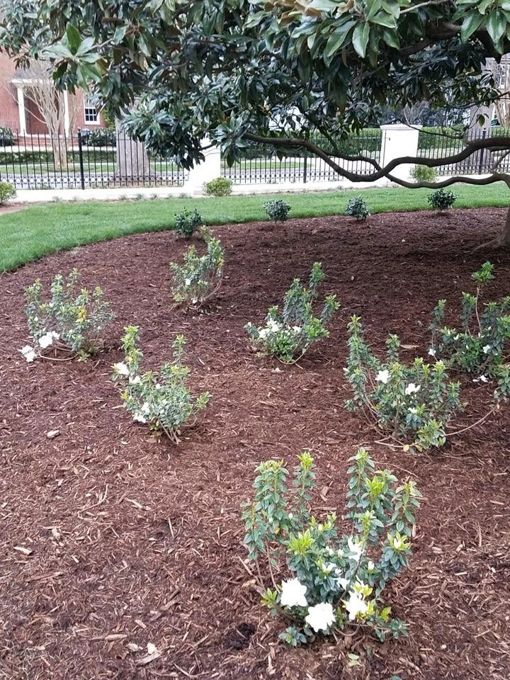 Custom Landscape Work by Landscape Perceptions - Photo 21