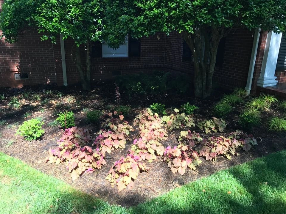 Custom Landscape Work by Landscape Perceptions - Photo 24
