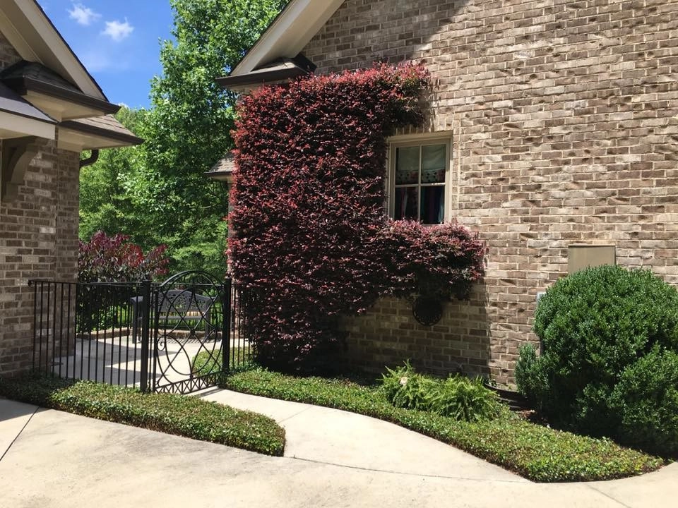 Custom Landscape Work by Landscape Perceptions - Photo 2