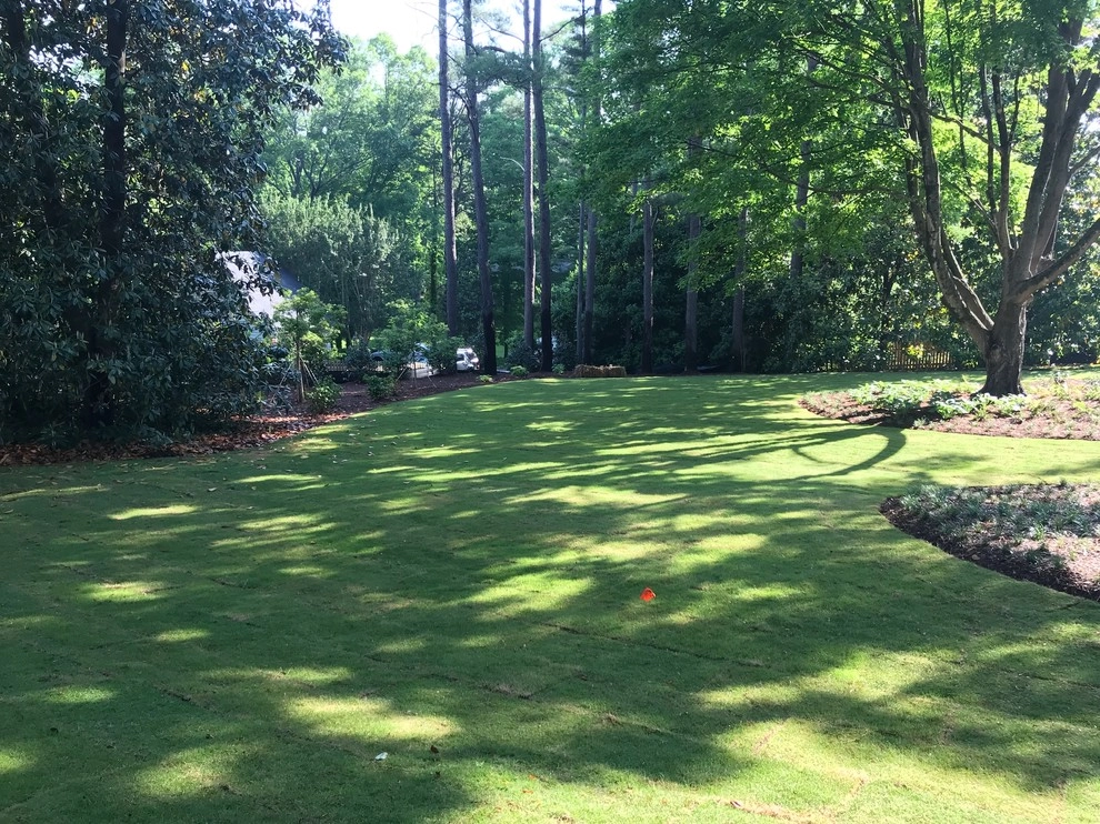Landscape Perceptions - Photo 11