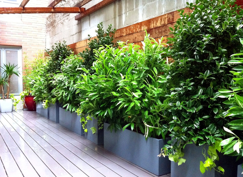 Amber Freda Garden Design - Photo 13