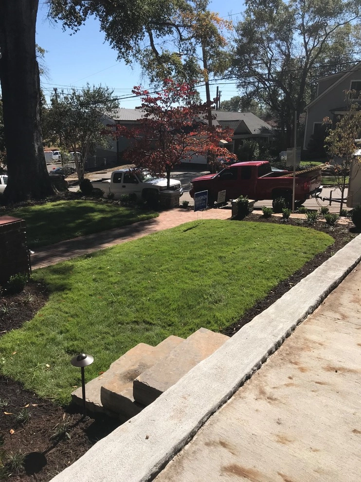 Earle Street by Landscape Perceptions - Photo 17