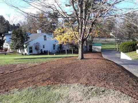 Alberto Alavez Professional Lawn Services LLC 5 by Alberto Alavez Professional Lawn Services LLC - Photo 41