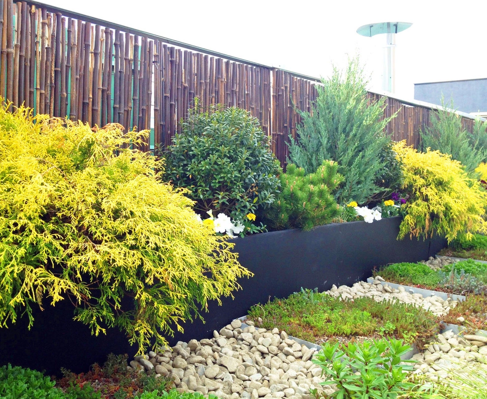 Amber Freda Garden Design - Photo 4