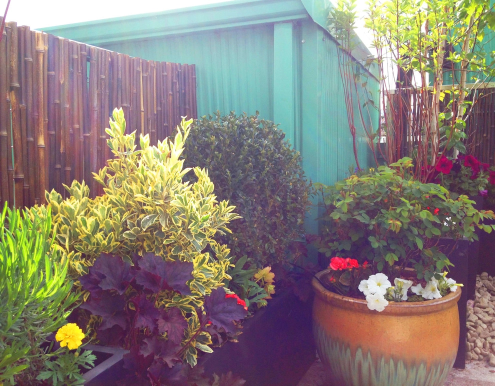 Lush Tribeca Roof Garden by Amber Freda Garden Design - Photo 7