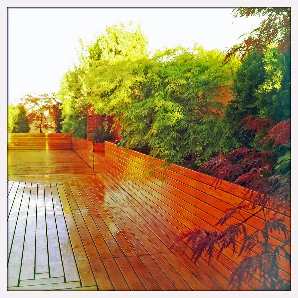 Amber Freda Garden Design - Photo 14