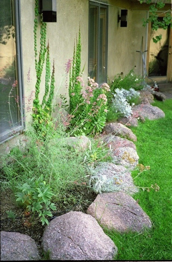 Landscape Solutions - Photo 9