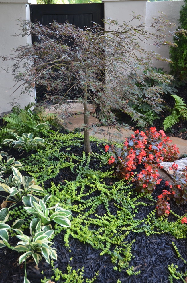 Outdoor Living by Landscape Studio - Photo 12