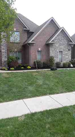 Alberto Alavez Professional Lawn Services LLC 5 by Alberto Alavez Professional Lawn Services LLC - Photo 87