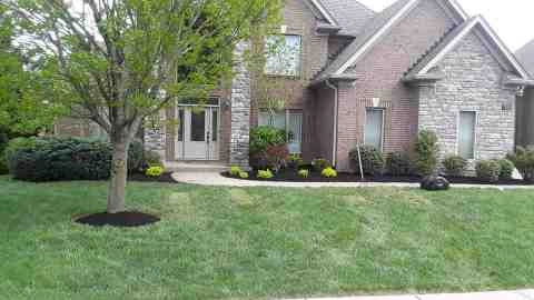 Alberto Alavez Professional Lawn Services LLC 5 by Alberto Alavez Professional Lawn Services LLC - Photo 71