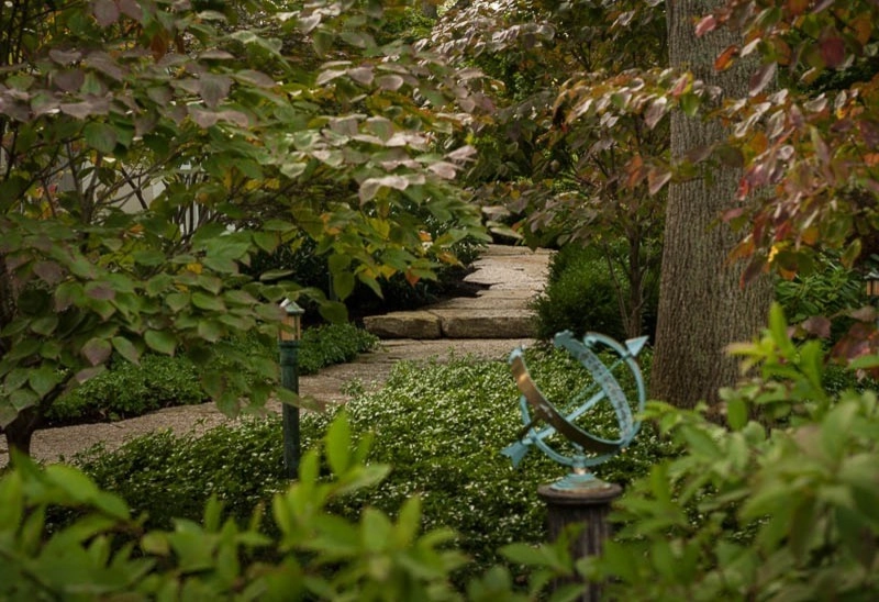 Transitional Garden by Landscape Workshop - Photo 5