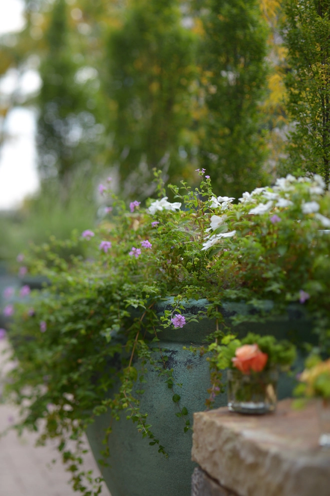 Healing Garden by Landscape Workshop - Photo 3