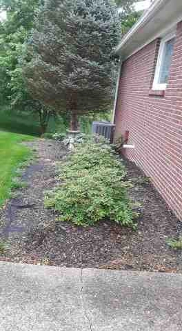 Alberto Alavez Professional Lawn Services LLC 5 by Alberto Alavez Professional Lawn Services LLC - Photo 74