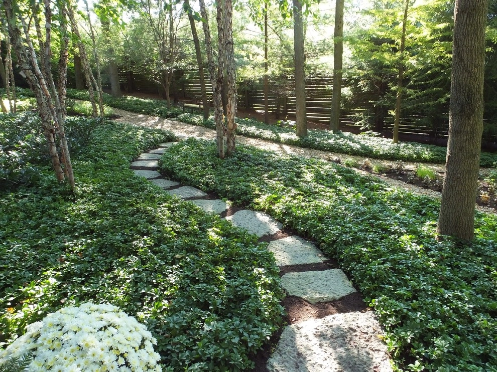 Shade Garden in Town by Landscape Workshop - Photo 4