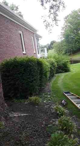 Alberto Alavez Professional Lawn Services LLC 5 by Alberto Alavez Professional Lawn Services LLC - Photo 9