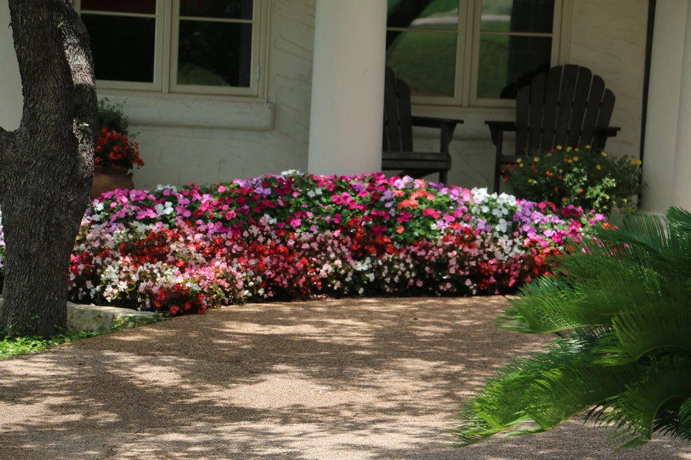 Landscapes USA - Photo 13