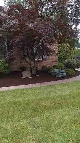 Alberto Alavez Professional Lawn Services LLC 5 by Alberto Alavez Professional Lawn Services LLC - Photo 45
