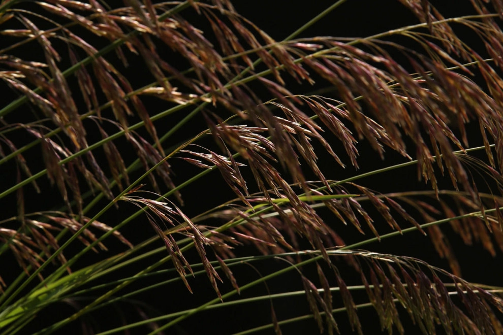 The Art of Nature by LandServe, LLC..."Landscapes For Life - Photo 3