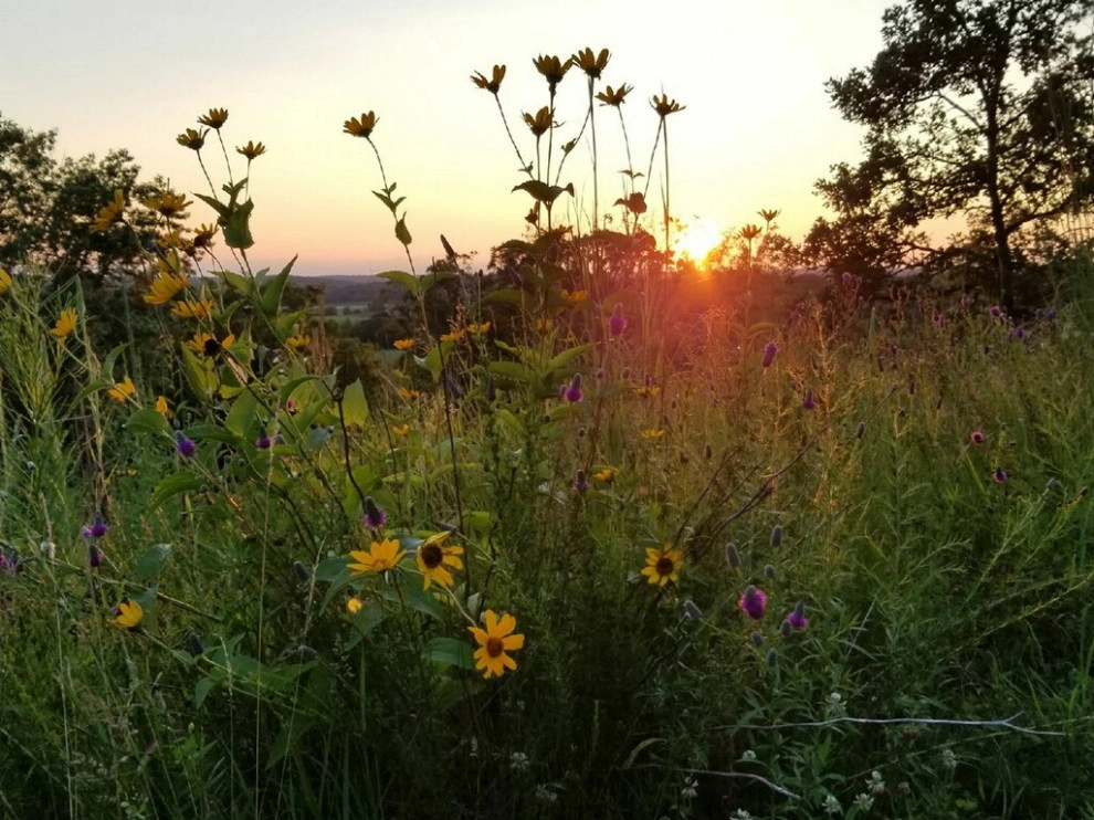 The Art of Nature by LandServe, LLC..."Landscapes For Life - Photo 4