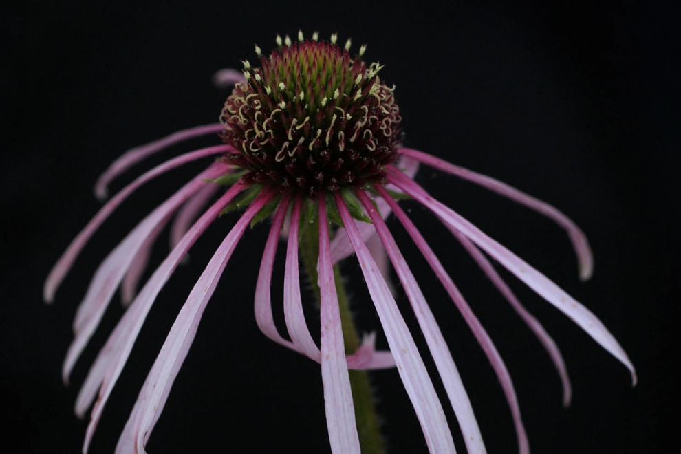 The Art of Nature by LandServe, LLC..."Landscapes For Life - Photo 2