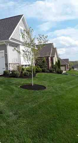 Alberto Alavez Professional Lawn Services LLC 5 by Alberto Alavez Professional Lawn Services LLC - Photo 43