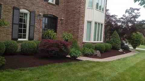Alberto Alavez Professional Lawn Services LLC 5 by Alberto Alavez Professional Lawn Services LLC - Photo 26