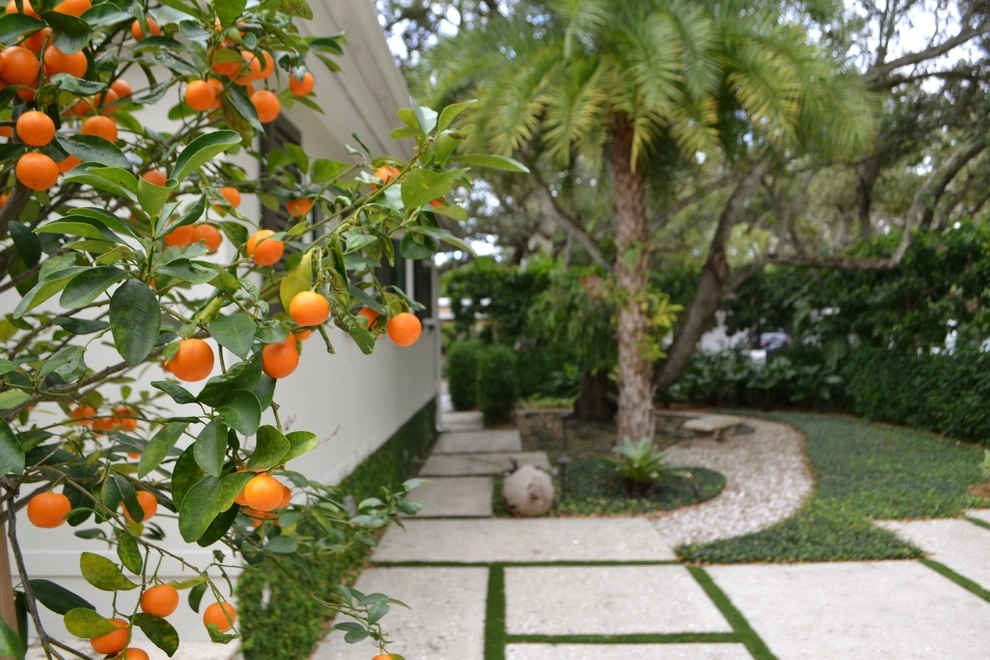 San Juan Residence by LandStudio - Photo 11