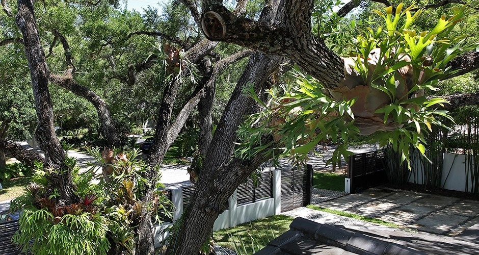 Erwin Residence by LandStudio - Photo 3