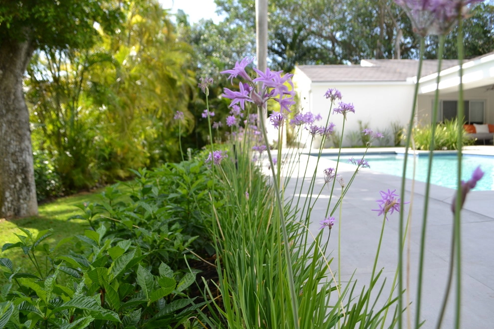 Vista al Mar Project by LandStudio - Photo 4