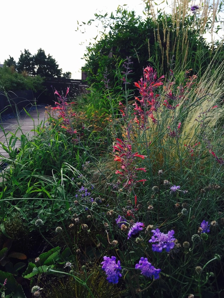Brooklyn Rooftop Garden by Landstylist: Landscape Design Ideas, Curated. - Photo 3