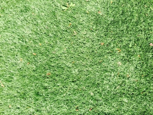 Misc by Landstylist: Landscape Design Ideas, Curated. - Photo 5