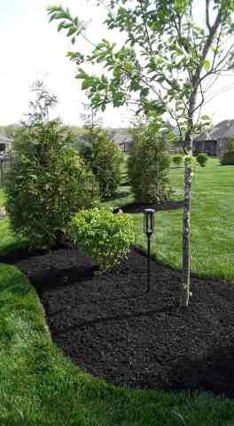 Alberto Alavez Professional Lawn Services LLC 5 by Alberto Alavez Professional Lawn Services LLC - Photo 18
