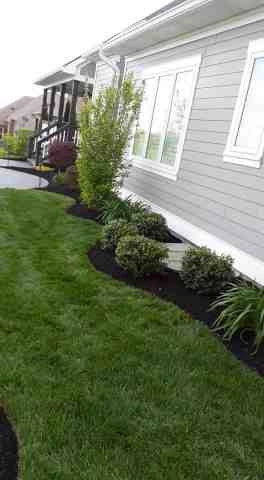 Alberto Alavez Professional Lawn Services LLC 5 by Alberto Alavez Professional Lawn Services LLC - Photo 59