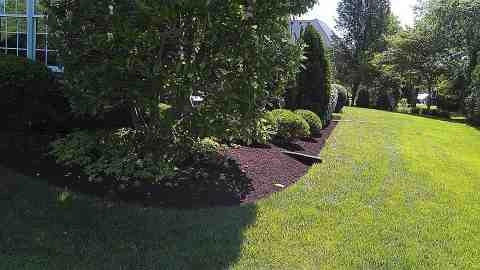 Alberto Alavez Professional Lawn Services LLC 5 by Alberto Alavez Professional Lawn Services LLC - Photo 23