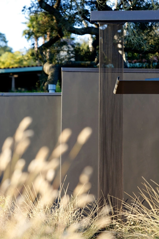 Riviera Modern by Lane Goodkind Landscape Architect - Photo 9