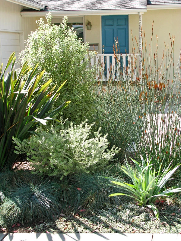 Lane Goodkind Landscape Architect - Photo 4