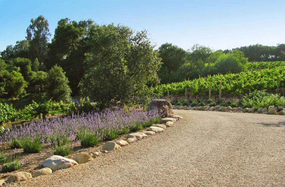Rancho Alamar by Lane Goodkind Landscape Architect - Photo 13