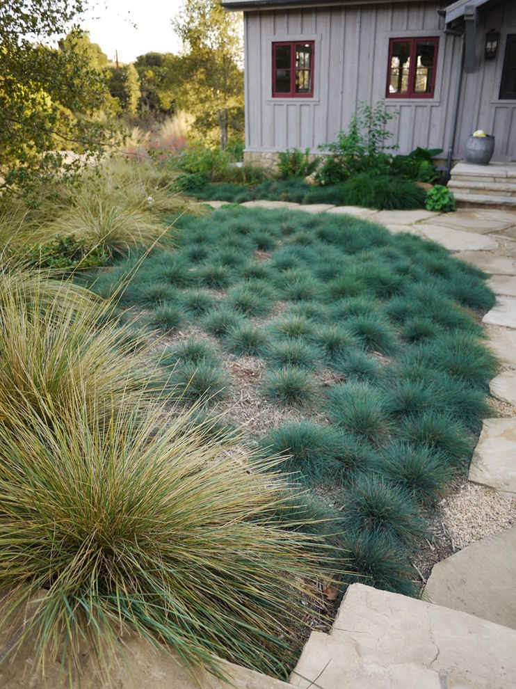 Rancho Alamar by Lane Goodkind Landscape Architect - Photo 5