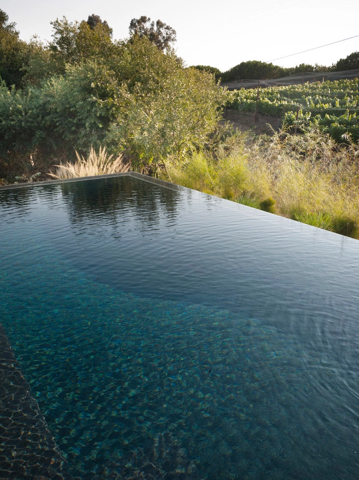 Rancho Alamar by Lane Goodkind Landscape Architect - Photo 12