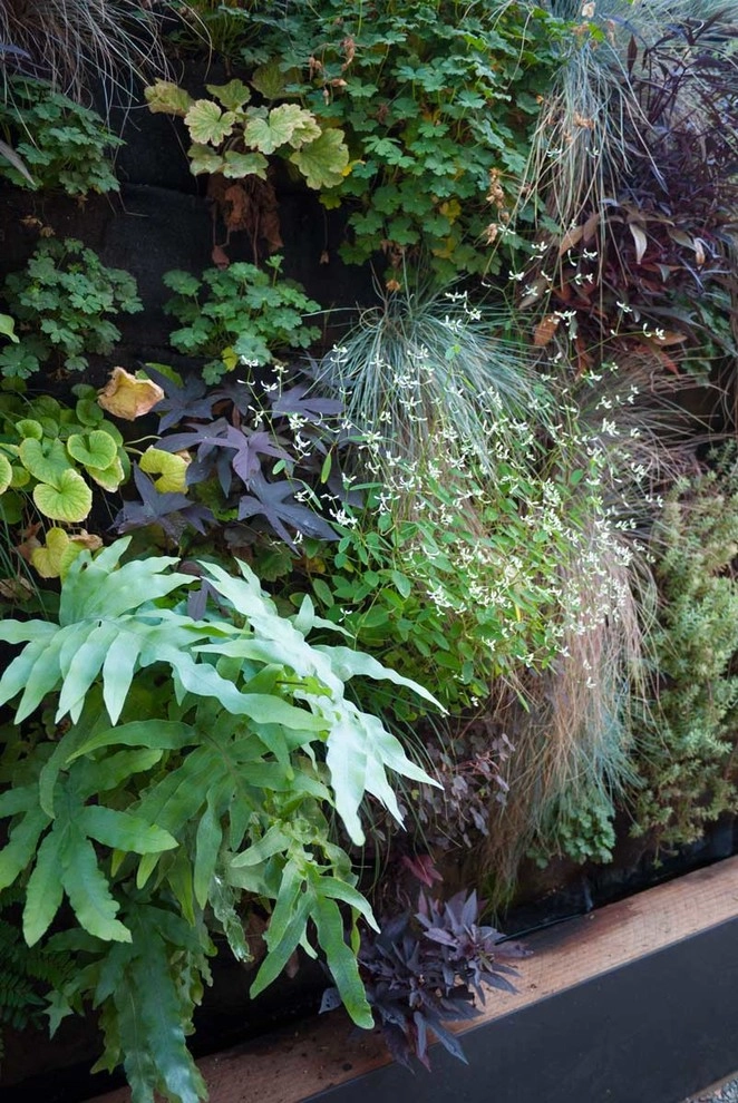 Greenwall by Lane Goodkind Landscape Architect - Photo 3