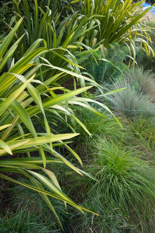 Greenhouse by Lane Goodkind Landscape Architect - Photo 9
