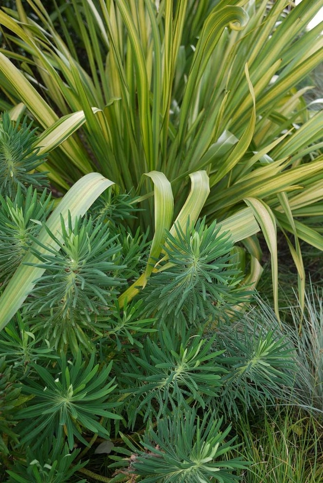 Greenhouse by Lane Goodkind Landscape Architect - Photo 6