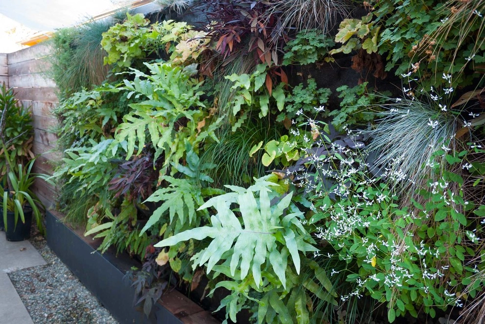 Greenwall by Lane Goodkind Landscape Architect - Photo 4