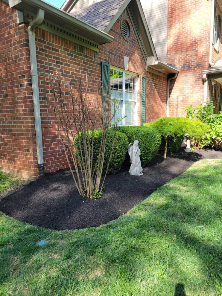 Alberto Alavez Professional Lawn Services LLC 16 by Alberto Alavez Professional Lawn Services LLC - Photo 10
