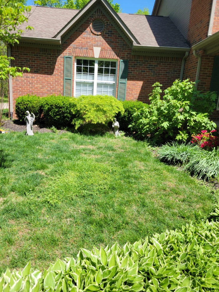 Alberto Alavez Professional Lawn Services LLC 16 by Alberto Alavez Professional Lawn Services LLC - Photo 4