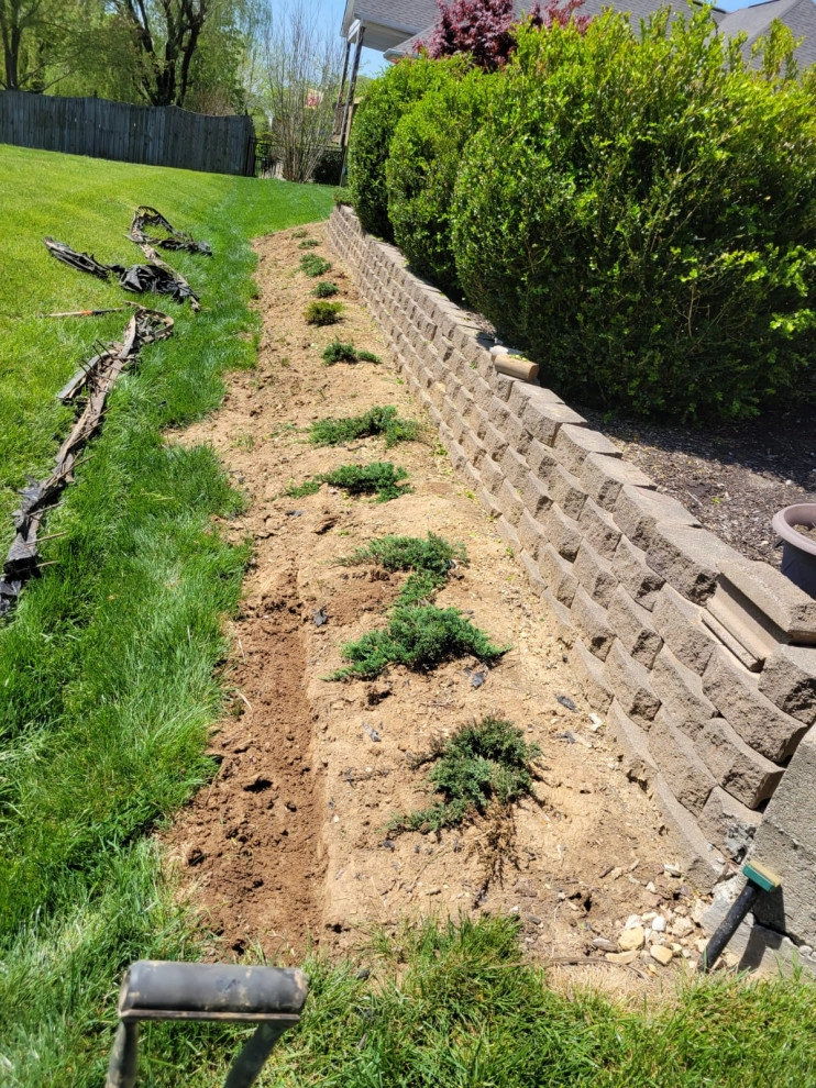 Alberto Alavez Professional Lawn Services LLC 16 by Alberto Alavez Professional Lawn Services LLC - Photo 13