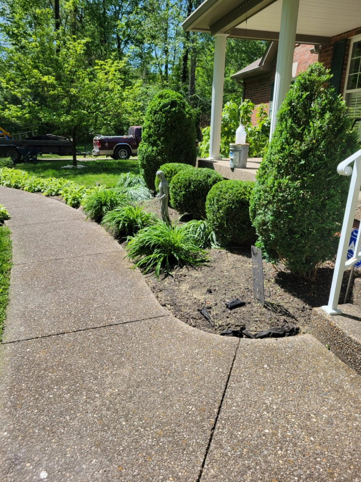 Alberto Alavez Professional Lawn Services LLC 16 by Alberto Alavez Professional Lawn Services LLC - Photo 14