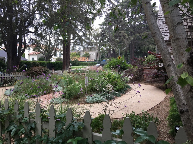 20th Street Santa Monica by Lauri Burrier Garden Design Inc. - Photo 3