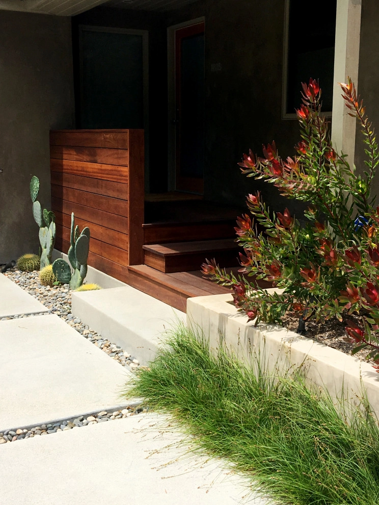 Mar Vista by Lauri Burrier Garden Design Inc. - Photo 4