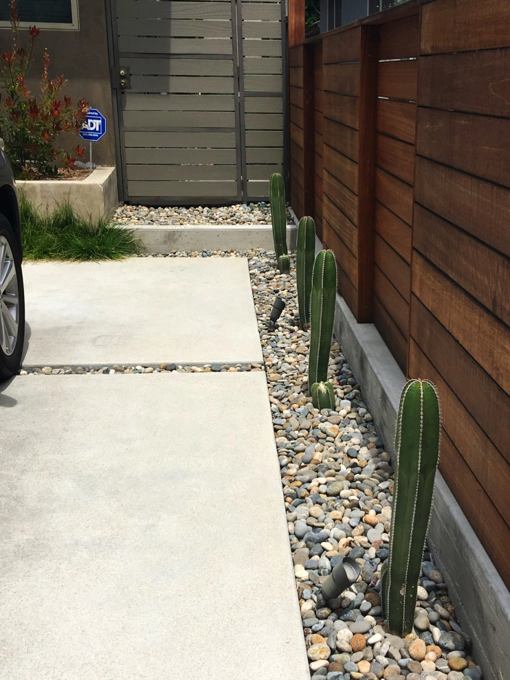 Mar Vista by Lauri Burrier Garden Design Inc. - Photo 6